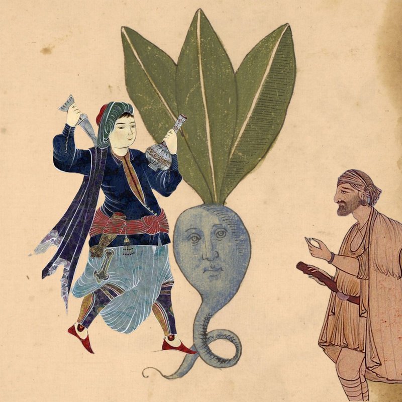 Dragobete, zeul iubirii, la români - Doina Ruști